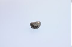 Foto von Diamant (NHMW-MIN-Ab6938)